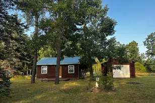 3743 N Peacock Trail, Irons, MI 49644 - Photo 1