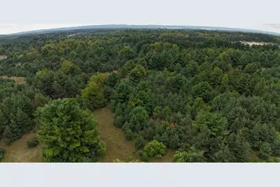 Lumley Road, Bear Lake, MI 49614 - Photo 1