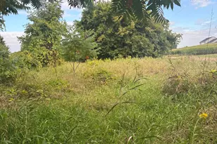 16250 Hall Rd, Casnovia, MI 49318 - Photo 1