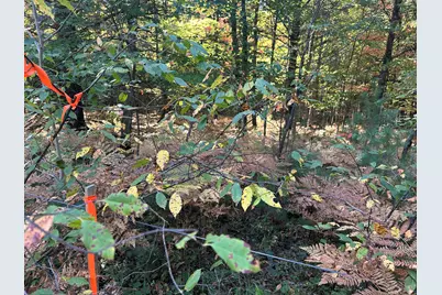 Par A 16th Street, Baldwin, MI 49304 - Photo 1