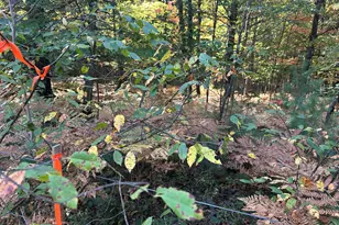 Par A 16th St, Baldwin, MI 49304 - Photo 1