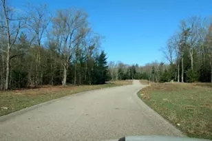 Heritage Dr, Whitehall, MI 49461 - Photo 1