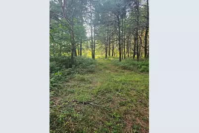 15410 Johnson Road, Kaleva, MI 49645 - Photo 1