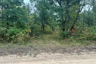 V/L S Broadway Rd, Baldwin, MI 49304 - Photo 1