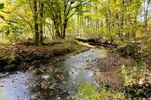 18303 2 Mile Rd, Morley, MI 49336 - Photo 1