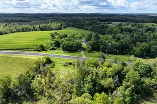 Vl M216 Lot, Marcellus, MI 49067 - Photo 1