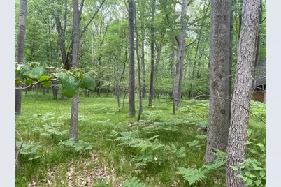 12060 Chinook Drive #408, Canadian Lakes, MI 49346 - Photo 1