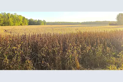 Wildt Highway, Bellevue, MI 49021 - Photo 1