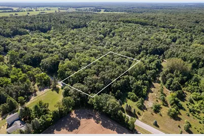 Vl Par 1 98th Street, Howard City, MI 49329 - Photo 1