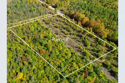 Parcel B Homestead Road, Beulah, MI 49617 - Photo 1