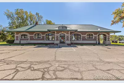 233 W Adams Street, Ionia, MI 48846 - Photo 1