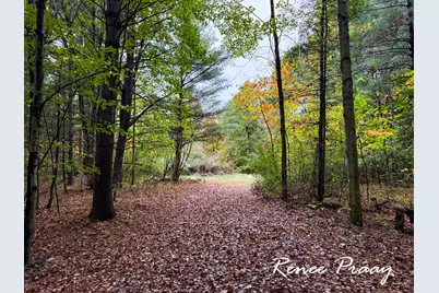 3913 112th Avenue, Allegan, MI 49010 - Photo 1