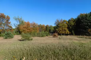 10 N Ravenna Rd, Ravenna, MI 49451 - Photo 1