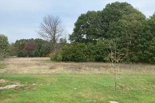 8517 Leonard St, Coopersville, MI 49404 - Photo 1