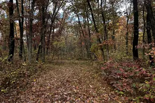 6421 N Irons Rd, Irons, MI 49644 - Photo 1