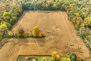 V/L County Farm Rd, Parma, MI 49269 - Photo 1