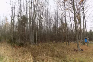 V/L Cr-378, Covert, MI 49043 - Photo 1