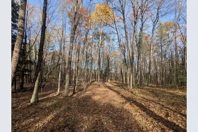 1103 N Frank Smith Road, Luther, MI 49656 - Photo 1
