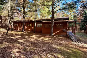 3374 W 12th St, Baldwin, MI 49304 - Photo 1