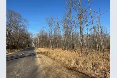 V/L Chamberlain Road, Marcellus, MI 49067 - Photo 1