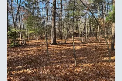 V/L Bedeau Street, Montague, MI 49437 - Photo 1