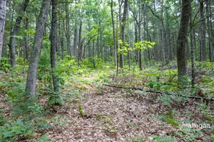 3747 S Sweet Lake Dr, Twin Lake, MI 49457 - Photo 1