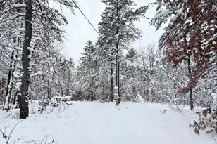 11335 S Broadway St, Bitely, MI 49309 - Photo 1