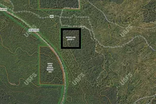 Lp 340 Trail, Baldwin, MI 49304 - Photo 1