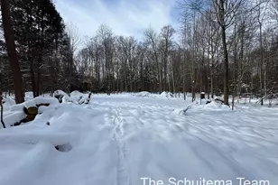 V/L Hickory St, Fruitport, MI 49415 - Photo 1