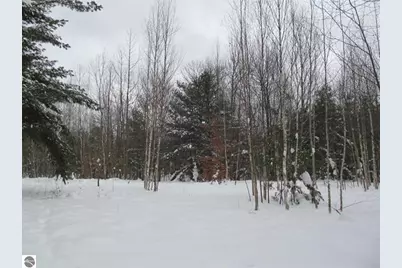 0 W 13th Street, Cadillac, MI 49601 - Photo 1