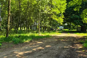 211 S Ray Quincy Rd, Quincy, MI 49082 - Photo 1