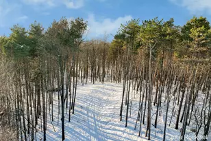 3669 Buttrick Ave SE, Ada, MI 49301 - Photo 1