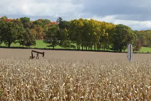 V/L 0000 Briggs Rd, Stanton, MI 48888 - Photo 1