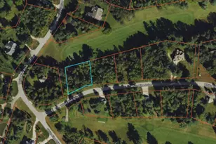 Lot 28 White Pine Dr, Cadillac, MI 49601 - Photo 1