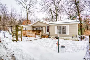 1041 S Poplar Ave, White Cloud, MI 49349 - Photo 1