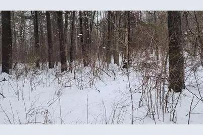 6908 E 18th Street, White Cloud, MI 49349 - Photo 1