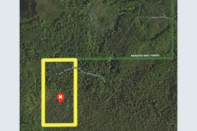 00 Vl Poplar Avenue, Bitely, MI 49309 - Photo 1