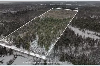 Vl 17 Mile Road, Leroy, MI 49655 - Photo 1