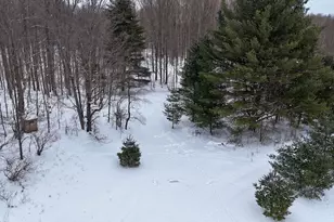 V/L 17 Mile Rd, Leroy, MI 49655 - Photo 1