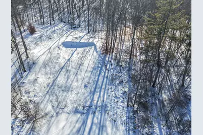 V/L Lilac Lane, Sheridan, MI 48884 - Photo 1