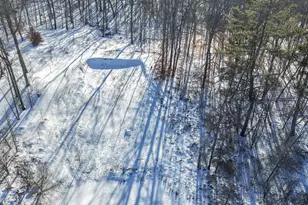 V/L Lilac Ln, Sheridan, MI 48884 - Photo 1