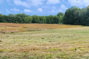 14406 50th St, Grand Junction, MI 49056 - Photo 1