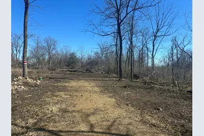 00 Bent Oak Highway, Adrian, MI 49221 - Photo 1