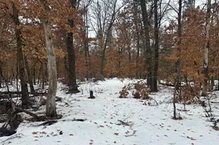 00 S Stanberry, Baldwin, MI 49304 - Photo 1