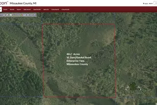 N Dorr Rd, Merritt, MI 49667 - Photo 1