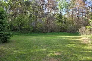 1138 N Thornapple Ave, White Cloud, MI 49349 - Photo 1