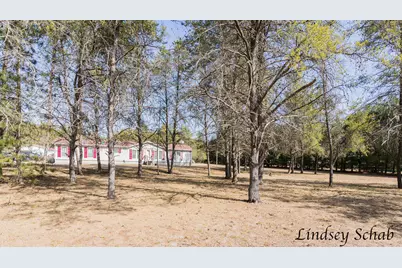 2211 E 13 Mile Road, Bitely, MI 49309 - Photo 1