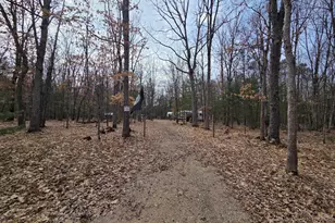 00 6 Mile Rd, Irons, MI 49644 - Photo 1