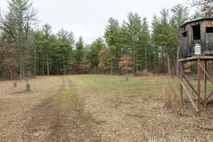 V/L 20 5A N Walnut Ave, Bitely, MI 49309 - Photo 1