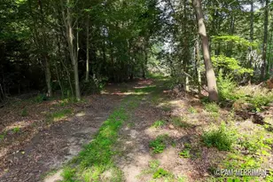 Parcel F Willard Rd, Trufant, MI 49347 - Photo 1
